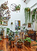 JAMIES JUNGLE, LONDON HOUSE OF JAMIE SONG: APARTMENT FILLED WITH HOUSEPLANTS. INDOORS, GREEN INTERIORS, FOLIAGE