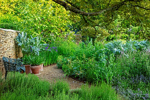 PETRA_HOYER_MILLAR_GARDEN_OXFORDSHIRE_CASTLE_END_HOUSE_HERB_GARDEN_SEAT_WALL_CONTAINERS_WITH_IRISES_