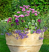 THE OLD VICARAGE, WORMLEIGHTON, WARWICKSHIRE: DESIGNER ANGEL COLLINS - TERRACOTTA CONTAINER PLANTED WITH