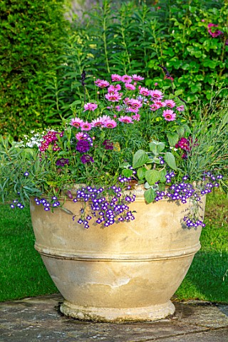 THE_OLD_VICARAGE_WORMLEIGHTON_WARWICKSHIRE_DESIGNER_ANGEL_COLLINS__TERRACOTTA_CONTAINER_PLANTED_WITH
