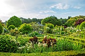 ROOKERY FARM, SURREY: THE WHITE GARDEN - BOX HEDGES, HEDGING, WHITE ROSES - ROSA ICEBERG, FOXGLOVES, PERENNIALS, FLOWERING, BLOOMS, METAL ARBOUR