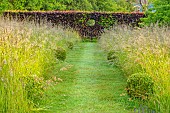 ROOKERY FARM, SURREY: GRASS PATH THROUGH MEADOW TO METAL SEAT, BENCH AND HOLE IN COPPER BEECH HEDGE, SUMMER, BOX BALLS, HEDGING, HEDGES, PATHS, GARDENS