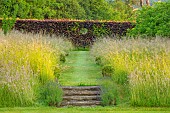 ROOKERY FARM, SURREY: GRASS PATH, STEPS, MEADOW, METAL SEAT, BENCH AND HOLE IN COPPER BEECH HEDGE, SUMMER, BOX BALLS, HEDGING, HEDGES, PATHS, GARDENS