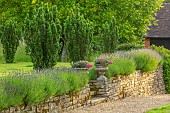 ROOKERY FARM, SURREY: LAWN, LAVENDER, STONE CONTAINERS, STONE WALL, PATH, RAISEWD, BEDS, WALLS, SUMMER, GARDENS