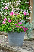ROOKERY FARM, SURREY: PATIO, TERRACES, PATIOS, SUMMER, CONTAINER WITH PINK ROSES