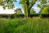ROOKERY FARM, SURREY: PATH, MEADOW, TREE, SEAT, SEATS, SUMMER, COUNTRY, GARDENS