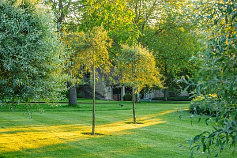 WINSON_MANOR_GLOUCESTERSHIRE_LAWN_IN_EARLY_MORNING_SUMMER_ENGLISH_GARDENS