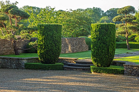 WINSON_MANOR_GLOUCESTERSHIRE_LAWN_WALL_CLIPPED_TOPIARY_CLOUD_PRUNED_SCOTS_PINE__PINUS_SYLVESTRIS_YEW