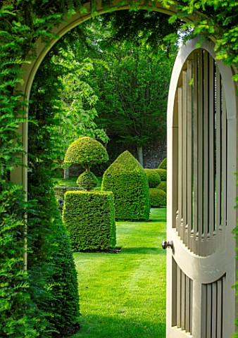 WINSON_MANOR_GLOUCESTERSHIRE_VIEW_THROUGH_WOODEN_GATE_TO_LAWN_AND_TOPIARY_CLIPPED_YEW_TAXUS_GREEN_GA