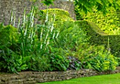 WINSON MANOR, GLOUCESTERSHIRE: SHADE, SHADY BORDERS IN RAISED STONE WALL BED, FERNS, WHITE FOXGLOVES, SUMMER, YEW HEDGING, HEDGES
