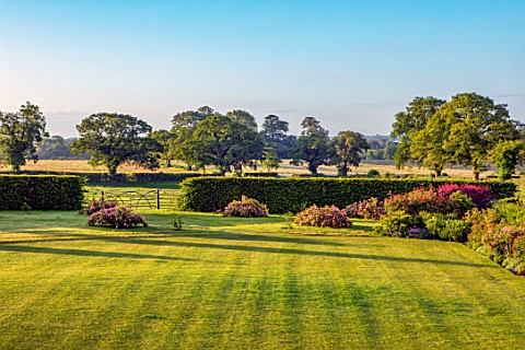 MANOR_FARM_CHESHIRE_VIEW_OF_LAWN_HEDGE_GATE_COUNTRYSIDE_ROSES_ROSA_COMPLICATA_ROSA_SCHARLACHGLUT_SUM