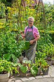 CLAUS DALBY GARDEN, DENMARK: CLAUS HOLDING RHUBARB, RHUBARB IN CONTAINERS, KITCHEN GARDEN, VEGETABLES, SALADS, POTAGER
