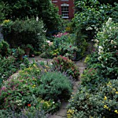 VIEW DOWN GARDEN WITH SMALL PATH BETWEEN BEDS OF PERENNIALS SHRUBS AND CLIMBING ROSES. DESIGNER: SUE BERGER