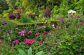CLAUS DALBY GARDEN, DENMARK: PINK, RED FLOWERS OF PEONIES, BORDERS, SUMMER, HEDGES, HEDGING, SUMMERHOUSE, PAVILION