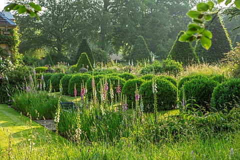 ROCKCLIFFE_GARDEN_GLOUCESTERSHIRE_BORDER_OF_FOXGLOVES_BLUE_WOODEN_BENCH_SEATS_LAWN_ENGLISH_COUNTRY_G