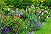 MORTON HALL, WORCESTERSHIRE: BORDER WITH ROSES, ROSA MUNSTEAD WOOD , PEROVSKIA, STATUE, BORDERS, JULY, SUMMER, LAWN, ENGLISH, COUNTRY, GARDENS