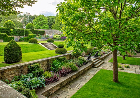 WINSON_MANOR_GLOUCESTERSHIRE_LAWN_YEW_TOPIARY_CLIPPED_STEPS_BORDERS_RAISED_BEDS_CATALPAS_SUMMER_ENGL