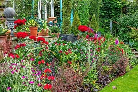 WATERDALE_GARDEN_WOLVERHAMPTON_WEST_MIDLANDS_RED_BORDER_BESIDE_LAWN_WITH_RED_ROSES_LYCHNIS_CORONARIA