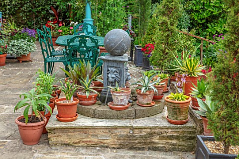 WATERDALE_GARDEN_WOLVERHAMPTON_WEST_MIDLANDS__RAISED_WATER_FEATURE_ON_TERRACE_TERRACOTTA_CONTAINERS_