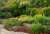 BATTS COTTAGE, OXFORDSHIRE: GRAVEL TERRACE, RAISED BEDS, HERBS, LAVENDER, HEDGES, HEDGING OF PHOTINIA RED ROBIN, JULY, HERB GARDEN