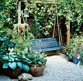 SWINGING SEAT SURROUNDED BY RUBUSTRIDELBENENDEN  ROSE ALBERTINE & CONTAINERS OF HOSTAS. DESIGNER:P.RAINEY CROFTS