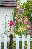 THATCH COTTAGE, WORCESTERSHIRE: FRONT, WHITE, PICKET FENCE, FENCING, BLACK AND WHITE COTTAGE, HOLLYHOCKS, GARDEN, ENGLISH, COTTAGES