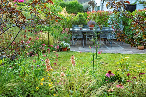 BATTS_COTTAGE_OXFORDSHIRE_LAWN_MALUS_ROYALTY_ECHINACEA_SUMMER_COCKTAIL_VERBASCUM_PINK_PETTICOATS_STI