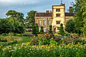 CANONS ASHBY, NORTHAMPTONSHIRE, THE NATIONAL TRUST: THE POTAGER, KITCHEN GARDEN, DAHLIA DAVID HOWARD, CLIPPED TOPIARY YEW, JULY, HELICHRYSUM KING SIZE