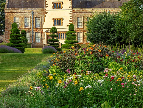 CANONS_ASHBY_NORTHAMPTONSHIRE_THE_NATIONAL_TRUST_THE_POTAGER_KITCHEN_GARDEN_DAHLIA_DAVID_HOWARD_CLIP