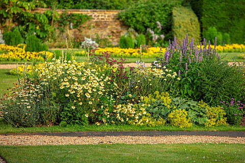 CANONS_ASHBY_NORTHAMPTONSHIRE_THE_NATIONAL_TRUST__BORDER_BESIDE_LAWN_ANTHEMIS_SUSANNA_MITCHELL_BORDE