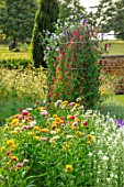 CANONS ASHBY, NORTHAMPTONSHIRE, THE NATIONAL TRUST - THE KITCHEN GARDEN, POTAGER WITH HELICHRYSUM KING SIZE, SWEET PEAS, PICKING, CUTTING, GARDENS