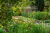 CANONS ASHBY, NORTHAMPTONSHIRE, THE NATIONAL TRUST - THE KITCHEN GARDEN, POTAGER, HELICHRYSUM KING SIZE, SWEET PEAS, ANNUALS, CUTTING, GARDENS