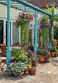 WATERDALE, WEST MIDLANDS: TERRACE, PATIO, BLUE METAL PERGOLA, TERRACOTTA CONTAINERS IN PURPLE AND PINK, HANGING BASKETS
