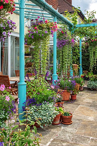 WATERDALE_WEST_MIDLANDS_TERRACE_PATIO_BLUE_METAL_PERGOLA_TERRACOTTA_CONTAINERS_IN_PURPLE_AND_PINK_HA