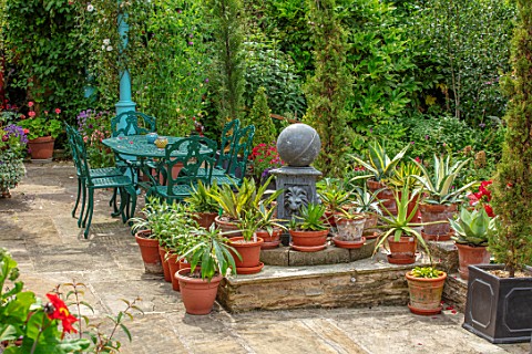 WATERDALE_WEST_MIDLANDS__TERRACE_PATIO_RAISED_WATER_FEATURE_TERRACOTTA_CONTAINERS_PLANTED_WITH_SUCCU