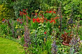 WATERDALE, WEST MIDLANDS: BORDER BY LAWN WITH TRACHYCARPUS FORTUNEI, CROCOSMIA LUCIFER AND DAHLIAS. BORDERS