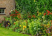 ADAMS POOL, GLOUCESTERSHIRE: HOT, RED BORDER BY LAWN, BORDER, COTTAGE, GARDEN, COTSWOLDS, CROCOSMIA LUCIFER, SUNFLOWERS, SEDUMS