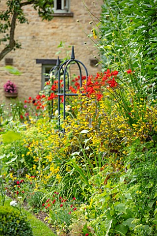 ADAMS_POOL_GLOUCESTERSHIRE_HOT_RED_BORDER_BY_LAWN_BORDER_COTTAGE_GARDEN_COTSWOLDS_CROCOSMIA_LUCIFER_