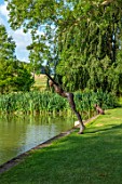 GLYNDEBOURNE, EAST SUSSEX: LAKE, LAWN, SCULPTURE OF DIVING LADY BY CAROL PEACE
