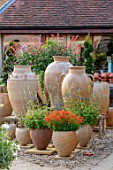 WHICHFORD POTTERY, OXFORDSHIRE: TERRACOTTA CONTAINERS IN THE NURSERY