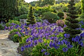 PRIVATE GARDEN, GLOUCESTERSHIRE - DESIGNER ANGEL COLLINS: TERRACE WITH AGAPANTHUS NAVY BLUE, WOODEN BENCH, SEAT, SEATING, BENCHES, AUGUST