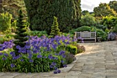 PRIVATE GARDEN, GLOUCESTERSHIRE - DESIGNER ANGEL COLLINS: TERRACE WITH AGAPANTHUS NAVY BLUE, WOODEN BENCH, SEAT, SEATING, BENCHES, AUGUST