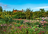 GREEN AND GORGEOUS FLOWERS, OXFORDSHIRE: DAHLIAS, SUNFLOWERS AND ALSTROEMERIAS IN THE CUTTING FIELDS