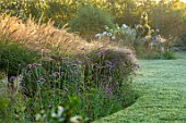 BRIDGE NURSERY, WARWICKSHIRE: BORDER, LAWN, VERBENA BONARIENSIS, SUNRISE, SEPTEMBER, MIST