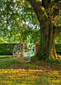 MITTON MANOR, STAFFORDSHIRE: BEECH TREE, BUBBLE SWING SEAT BY MYBURGH DESIGNS, SEPTEMBER, LAWN, TREES, SWINGS, SEATING