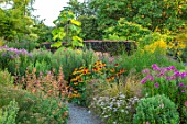 THE PICTON GARDEN AND OLD COURT NURSERIES, WORCESTERSHIRE: BORDERS OF ASTERS, AGASTACHE AURANTIACA NAVAJO SUNSET, RUDBECKIA HIRTA SEEDLING, SEPTEMBER, FALL