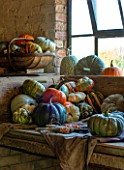 EYTHROPE WALLED GARDEN, BUCKINGHAMSHIRE: PUMPKINS AND SQUASHES IN POTTING SHED. STILL LIFE