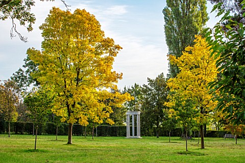 MORTON_HALL_WORCESTERSHIRE_MONOPTEROS_IN_PARK_YELLOW_LEAVES_OF_TREES__FRAXINUS_EXCELSIOR_JASPIDEA_TR