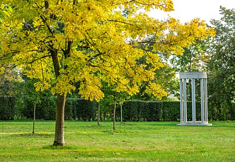 MORTON_HALL_WORCESTERSHIRE_MONOPTEROS_IN_PARK_YELLOW_LEAVES_OF_TREES__FRAXINUS_EXCELSIOR_JASPIDEA_TR