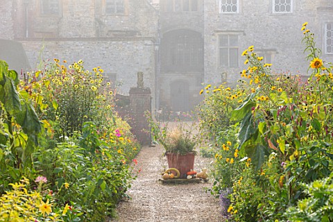FORDE_ABBEY_SOMERSET_THE_KITCHEN_GARDEN_IN_AUTUMN_FALL_OCTOBER_MIST_FOG_BORDERS_TERRACOTTA_CONTAINER